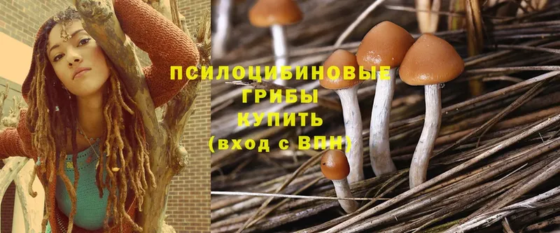 Галлюциногенные грибы Magic Shrooms  гидра как войти  Десногорск 